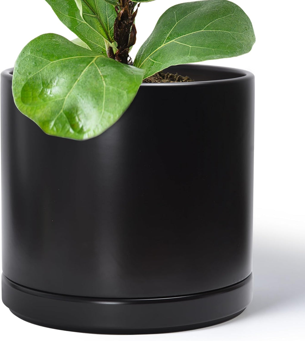 14 Inch Ceramic Planter Pot, Black