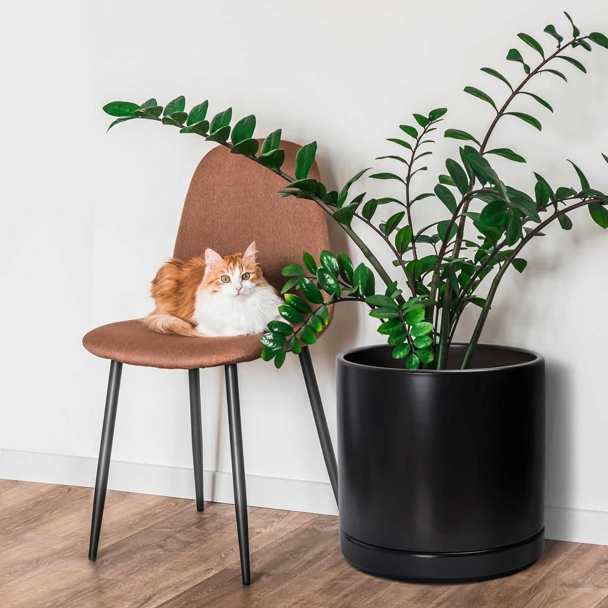 14 Inch Ceramic Planter Pot, Black