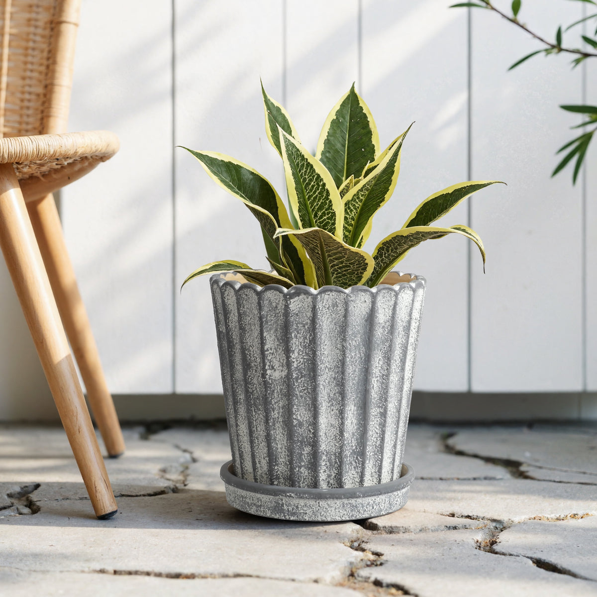 8.1 in Shell Gray Ceramic Planter Pot